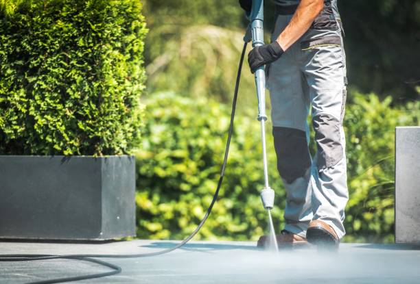 Best Roof Washing  in Hazel Dell, WA